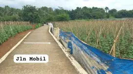 JUAL TANAH MURAH LOKASI STRATEGIS AKSES MOBIL