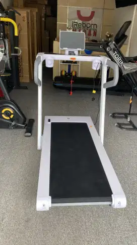 Treadmill Q1 ireborn