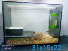 Akuarium tingkat hamster
