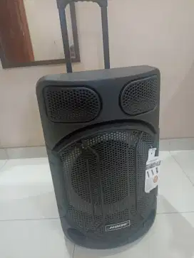 Speaker NOise 899A