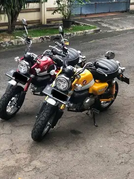 Honda Monkey 125cc Yellow 2020 & Honda Monkey 125cc  Merah 2021