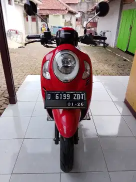 Scoopy thn 2021