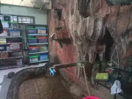 rumah besar murah bagus lelang di perumahan