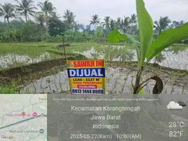 Jual Sawah dekat dengan pergudangan Cikolotok