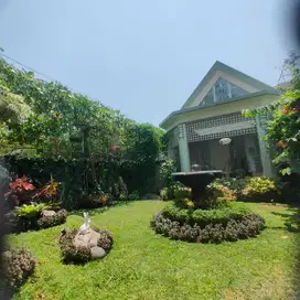 DISEWAKAN RMH MODEL BELANDA TERAWAT  JLN TRUNOJOYO