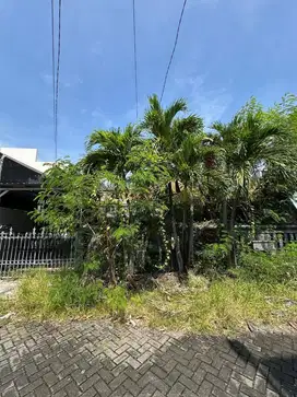 MURAH‼️‼️rmh hitung tanah manyar tirtoyoso  (288 m2)
