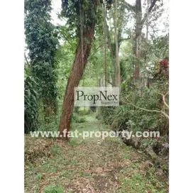 Dijual lahan di Jl Rancamaya,Bogor luas 15,000m2, SHM, Berkontur