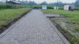 Tanah kavling Murah Malang di Wringinsongo Tumpang Pinggir jalan Aspal