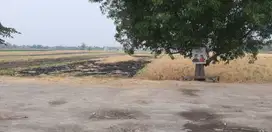 Lahan Plot Industri di Wringinanom Gresik