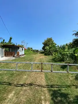 Dijual Tanah di Yehembang Jembrana Bali