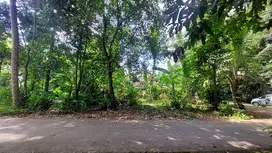 TANAH SHM PEKARANGAN  HOOK  VIEW SAWAH