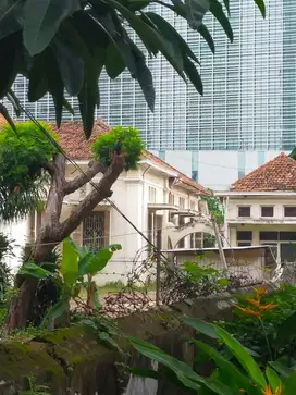 Jual Kavling Strategis Kebon Sirih SHM