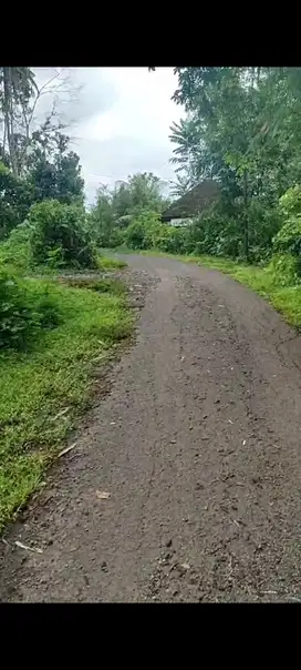 kebun view kota & laut 3,7 hektar