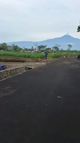 Investasi Tanah Bernilai Tinggi, Pilihan Cerdas untuk Masa Depan Cerah