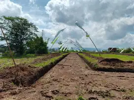 Kapling Bandulan Asri Malang