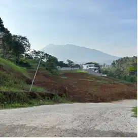 Tanah kav sultan shm megamendung puncak bogor