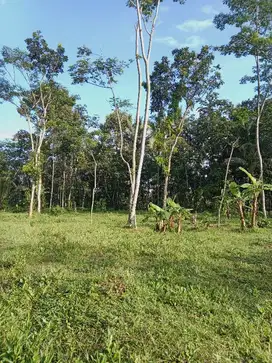 Di Jual Tanah Depan Jalan Lingkar Salatiga
