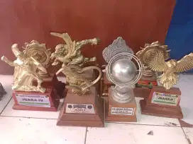 Piala burung nasional ada 8 pcs