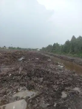 Tanah talang jambe 3 hektar