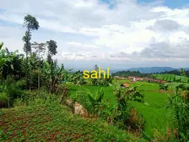 TANAH SAWAH SHM AIR BAGUS UNTUK VILLA VIEW BAGUS