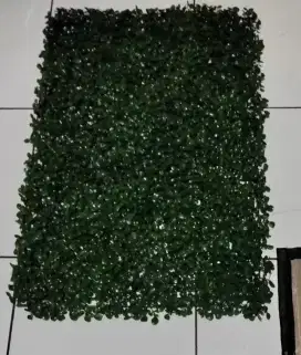 Dekorasi daun dollar premium 40x60cm