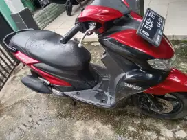 Yamaha freego 2020