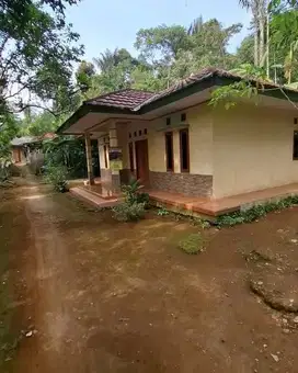 Dijual Rumah Kampung Untuk Villa di Cikeris Bojong Purwakarta