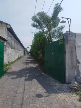 Disewakan Gudang Bangunan Baru Renovasi Tropodo