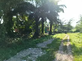 Tanah murah di tepi jalan Torganda 1,4km dari jl Parit Indah uk 40x30m