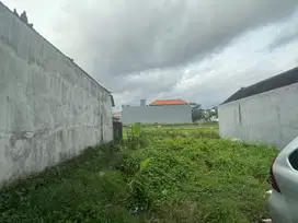 Di jual tanah murah cepaka Selingsing munggu deket canggu