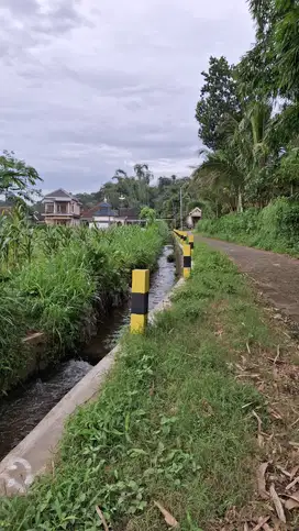 TANAH MURAH DEKAT WISATA GUNUNG BROMO MALANG