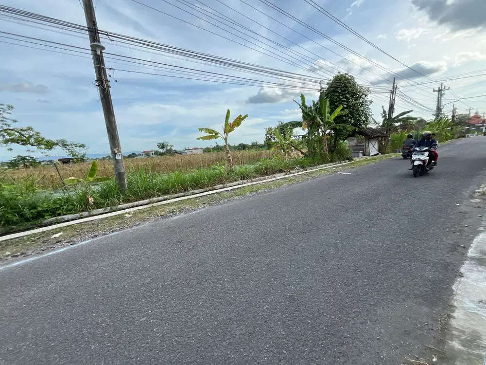 DEKAT POJATEK JL TAJEM MAGUWO: Tanah Tepi Jl Sambiroto Jogja