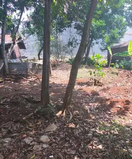Tanah Tembalang Bulusan Undip
