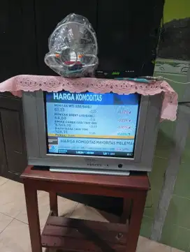 TV mitochiba 21