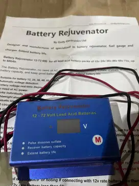 Rejuvenator 12v-72v 600Ah