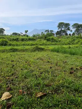 di jual lahan cocok untuk villa view gunung di megamendung