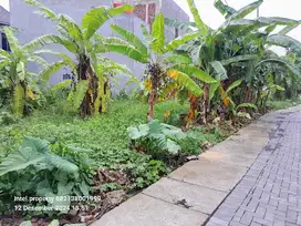 Tanah Tembalang Bulusan Utara Undip