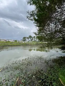 Dijual Tanah Laswi