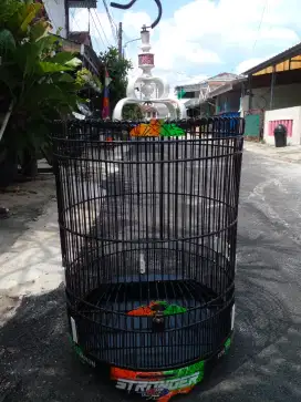 Sangkar kandang burung murai