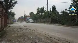 Jual Tanah Di Jalan Raya Maloko Dangdang, Cisauk - Tangerang, Banten