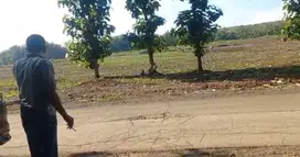 Dijual tanah untuk perumahan lokasi di Pemalang harga murah