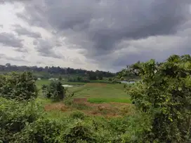 Dijual Kavling Untuk industri, gudang, perkebunan di Cisauk, Tangerang