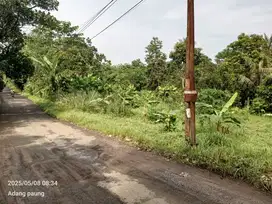 Tanah datar nempel jalan angkot harga 185 ribu per meter