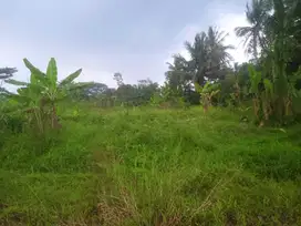 Tanah datar nempel jalan mobil dan dekat kali air subur