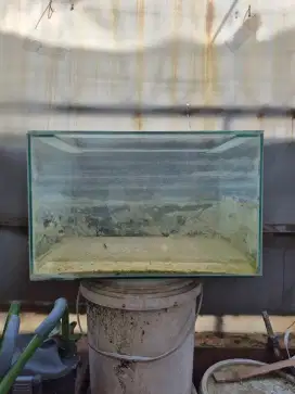 Aquarium Ikan Reptil Bekas Aquascape