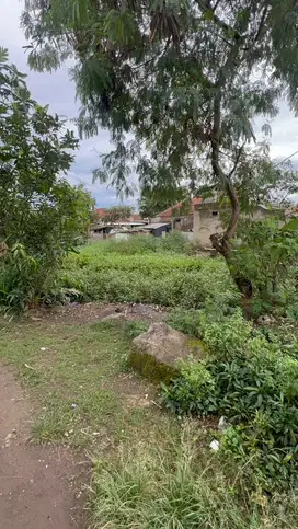 Dijual tanah di jl rancawilis, sapan