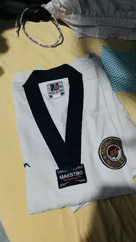 Dobog Taekwondo Maestro