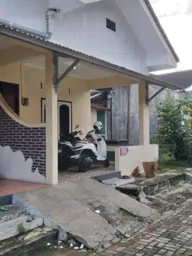 Sewa Rumah nyaman