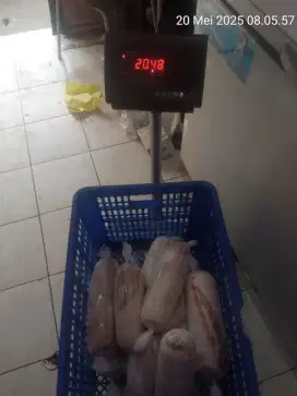 Dicari Bagian Produksi Daging Non Halal