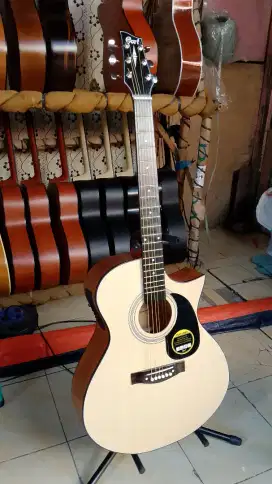 Gitar cort Elektrik